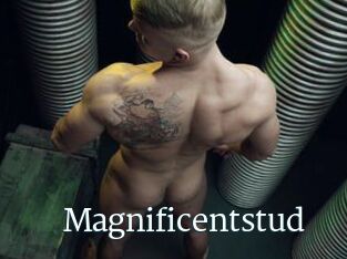 Magnificentstud