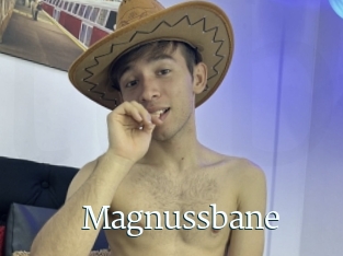 Magnussbane