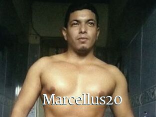 Marcellus20