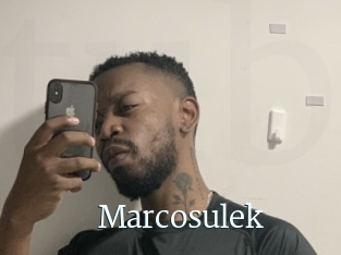 Marcosulek