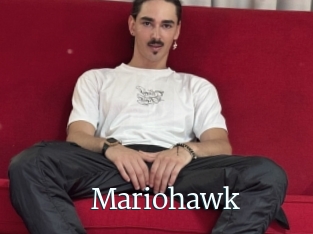 Mariohawk