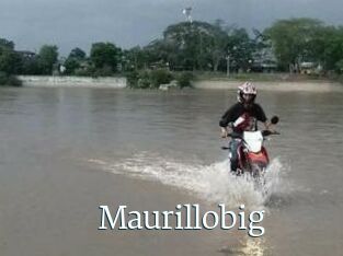 Maurillobig
