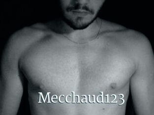 Mecchaud123