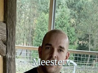 Meesterv