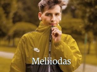 Meliiodas