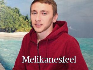 Melikanesfeel