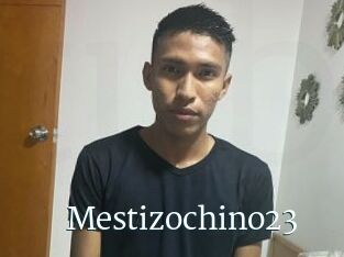 Mestizochino23