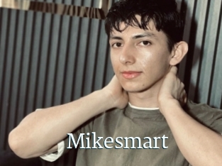Mikesmart