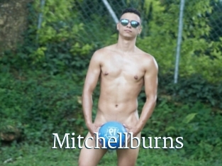 Mitchellburns