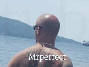 Mrperfect