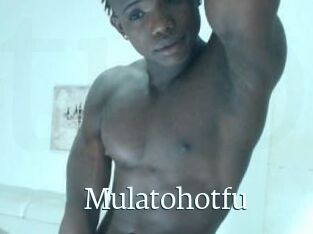 Mulatohotfu