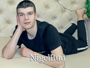 NigelBud