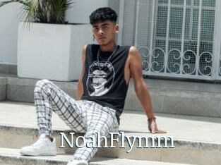 NoahFlymm