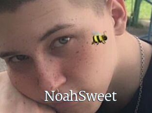 NoahSweet