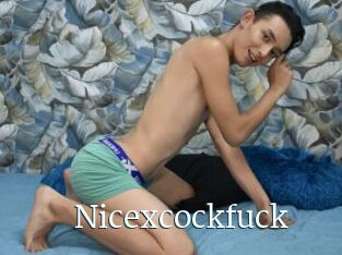 Nicexcockfuck