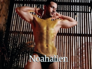 Noahallen