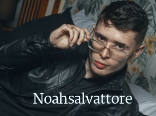 Noahsalvattore