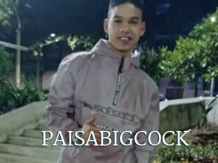 PAISABIGCOCK