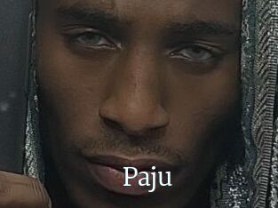 Paju