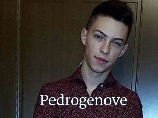 Pedrogenove