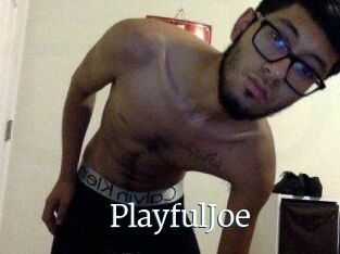 PlayfulJoe
