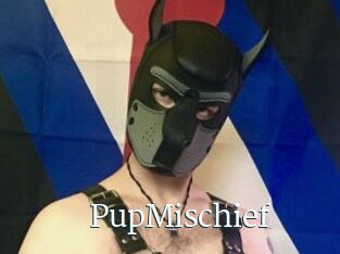 PupMischief
