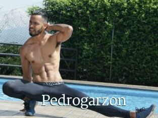 Pedrogarzon