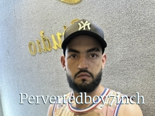 Pervertedboy7inch