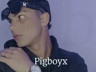 Pigboyx