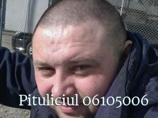 Pituliciul-06105006