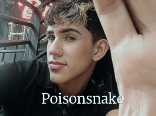 Poisonsnake