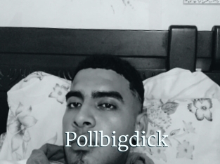 Pollbigdick