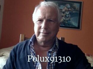 Polux91310