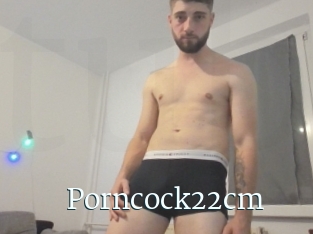 Porncock22cm