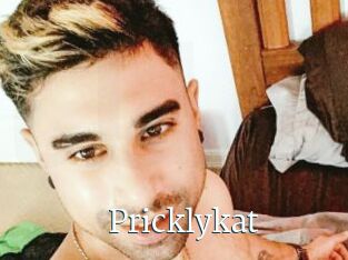 Pricklykat