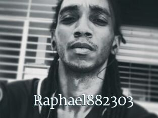 Raphael882303