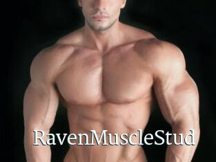 RavenMuscleStud
