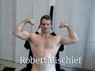 RobertMischief