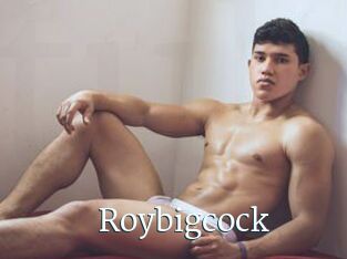 Roybigcock