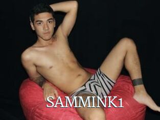 SAMMINK1