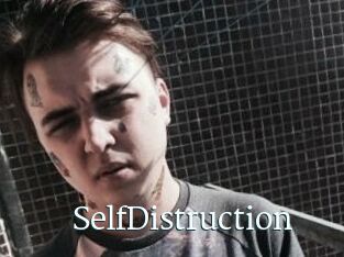SelfDistruction