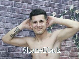 ShaneBlack