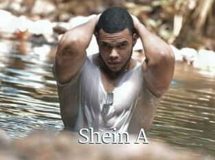 Shein_A