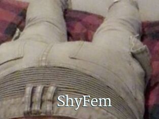 ShyFem
