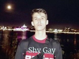 Shy_Gay
