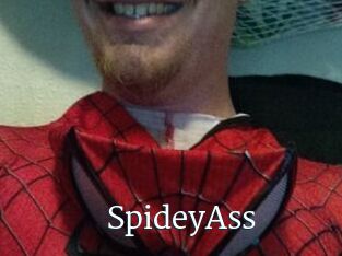 SpideyAss