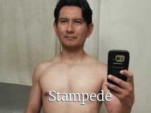 Stampede