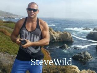 Steve_Wild