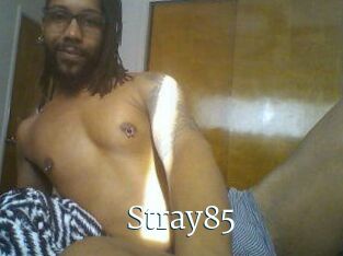Stray85