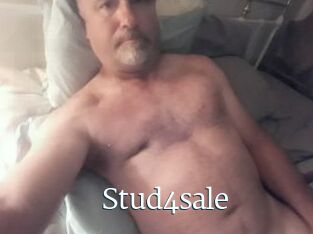 Stud4sale